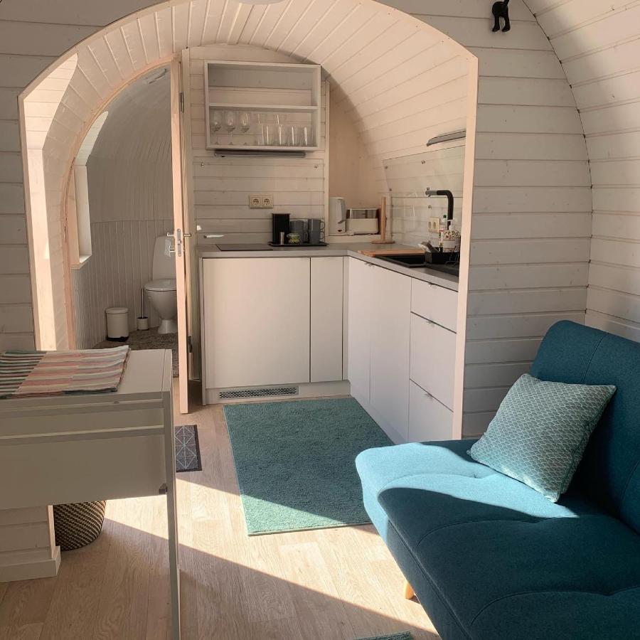 Kuldallika Igloo House And Iglusauna Kullamae Eksteriør bilde